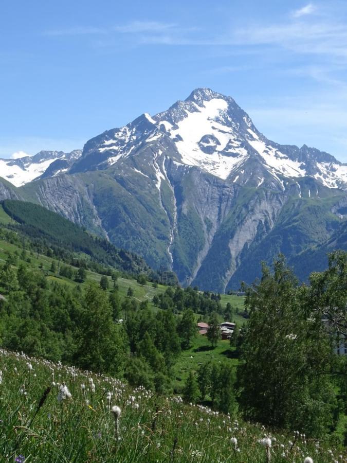 L'Ansloboys Montagne A2 Apartment Les Deux Alpes Luaran gambar